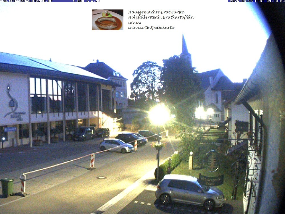 Archiv Foto Webcam Schönwald: Blick vom Gasthof Schwarzwaldtanne
