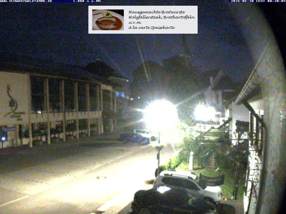 Archiv Foto Webcam Schönwald: Blick vom Gasthof Schwarzwaldtanne