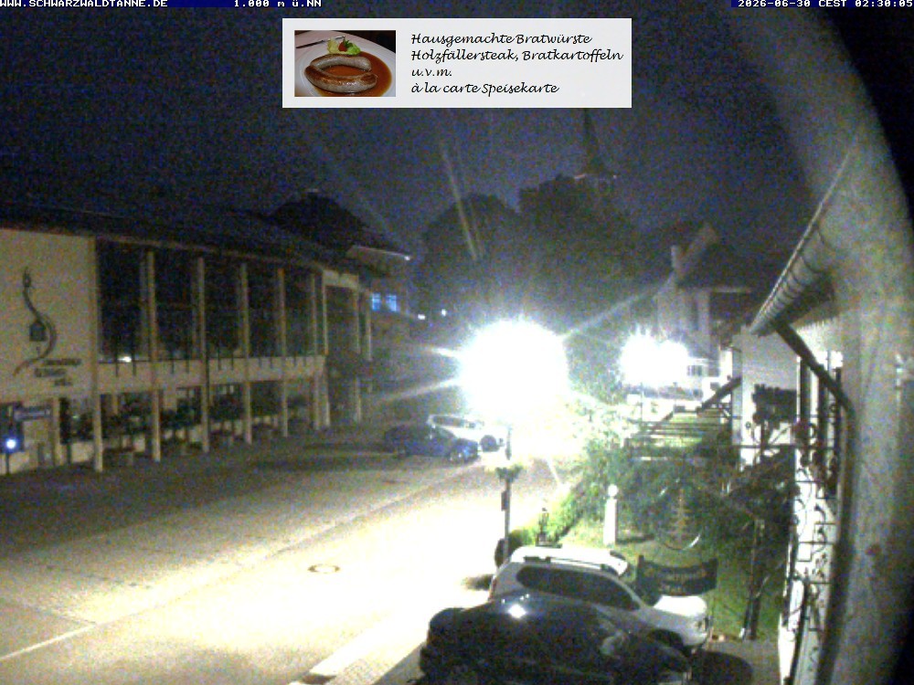 Archiv Foto Webcam Schönwald: Blick vom Gasthof Schwarzwaldtanne
