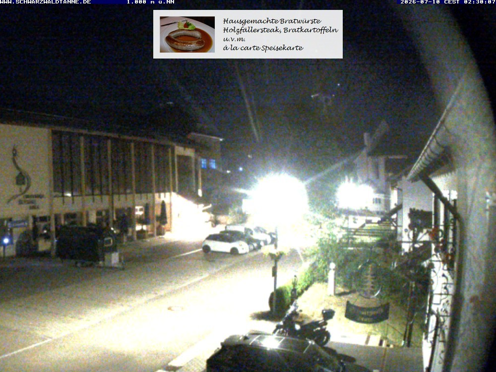 Archiv Foto Webcam Schönwald: Blick vom Gasthof Schwarzwaldtanne
