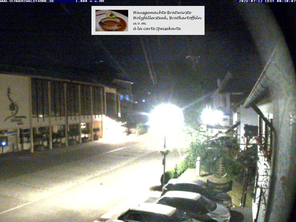 Archiv Foto Webcam Schönwald: Blick vom Gasthof Schwarzwaldtanne