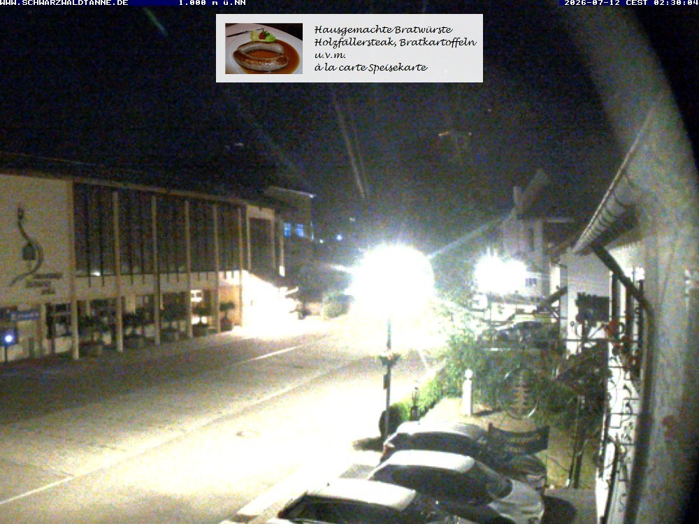 Archiv Foto Webcam Schönwald: Blick vom Gasthof Schwarzwaldtanne