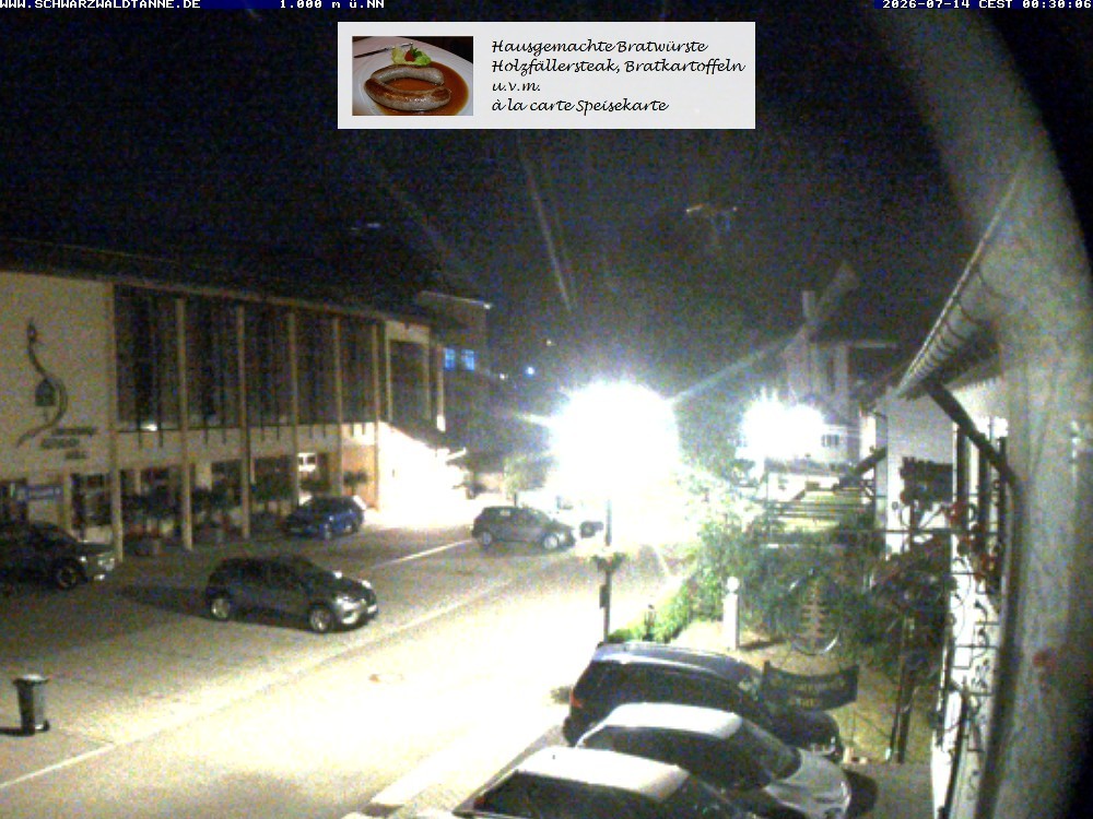 Archiv Foto Webcam Schönwald: Blick vom Gasthof Schwarzwaldtanne