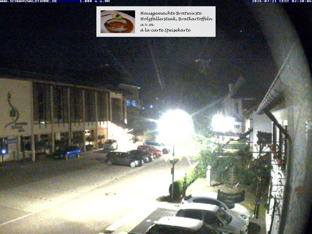 Archived image Webcam View from Guesthouse "Schwarzwaldtanne"