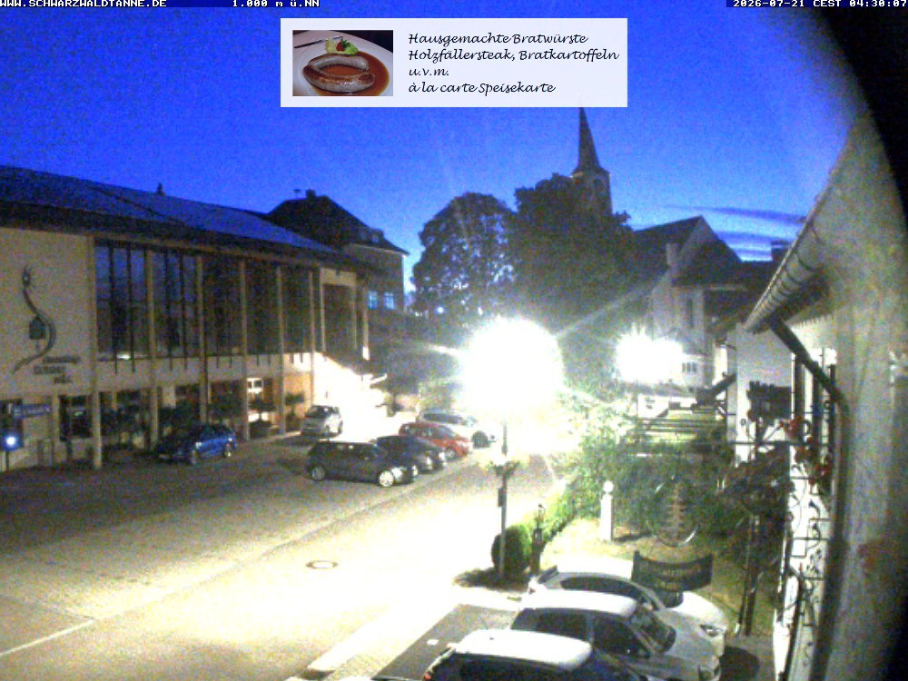 Archived image Webcam View from Guesthouse "Schwarzwaldtanne"