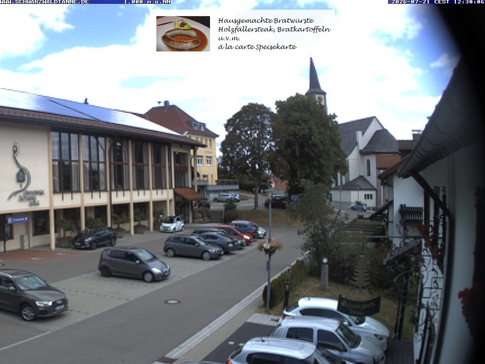 Archived image Webcam View from Guesthouse "Schwarzwaldtanne"