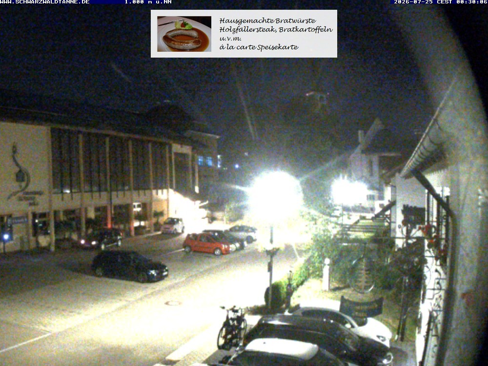 Archived image Webcam View from Guesthouse "Schwarzwaldtanne"