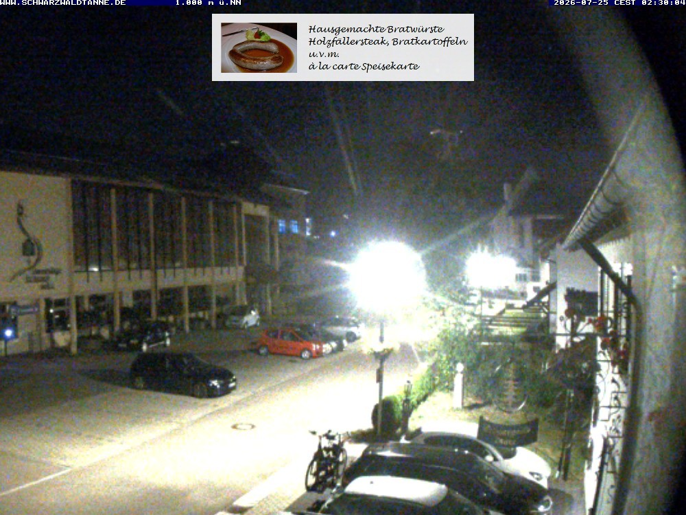 Archived image Webcam View from Guesthouse "Schwarzwaldtanne"