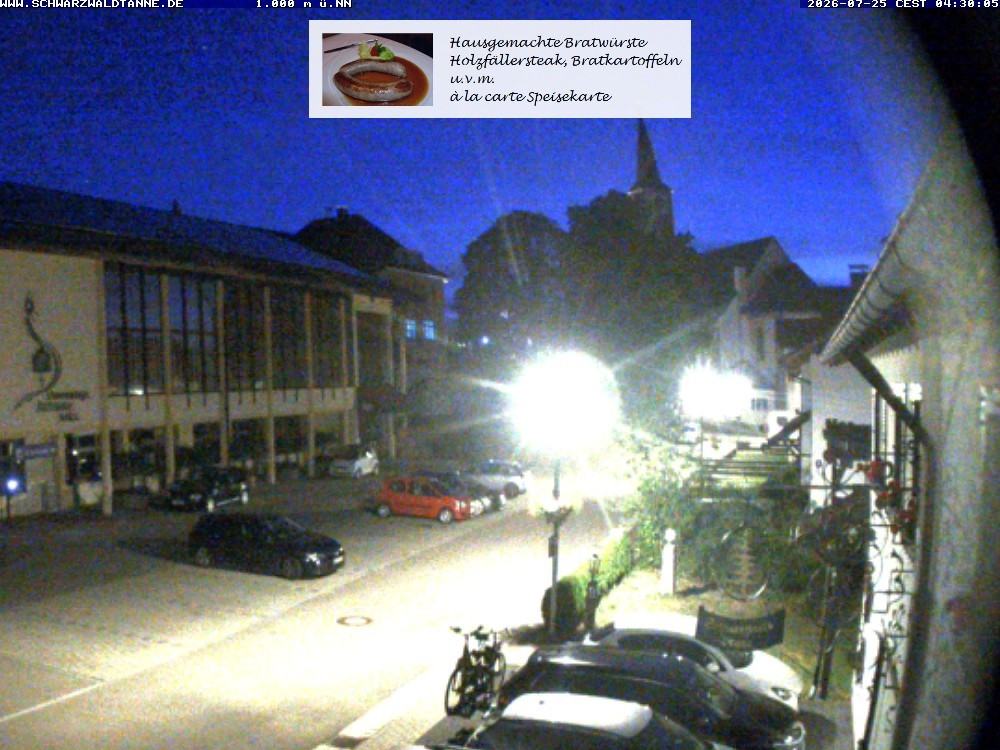 Archived image Webcam View from Guesthouse "Schwarzwaldtanne"