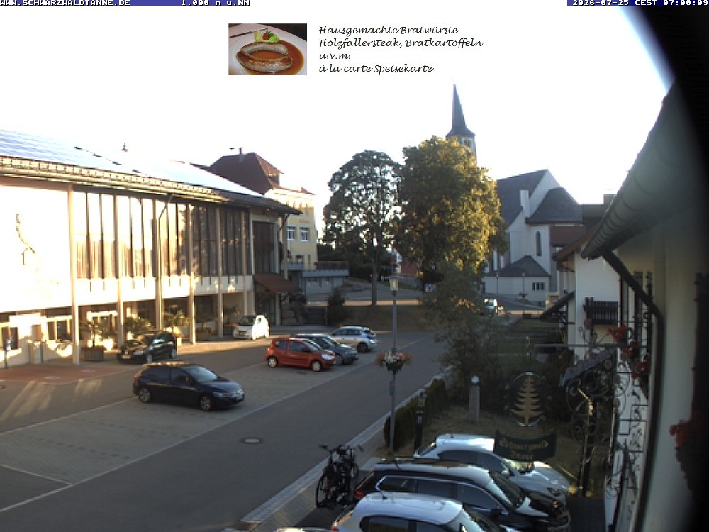 Archived image Webcam View from Guesthouse "Schwarzwaldtanne"
