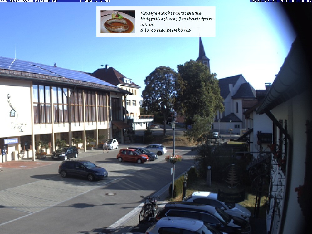 Archived image Webcam View from Guesthouse "Schwarzwaldtanne"