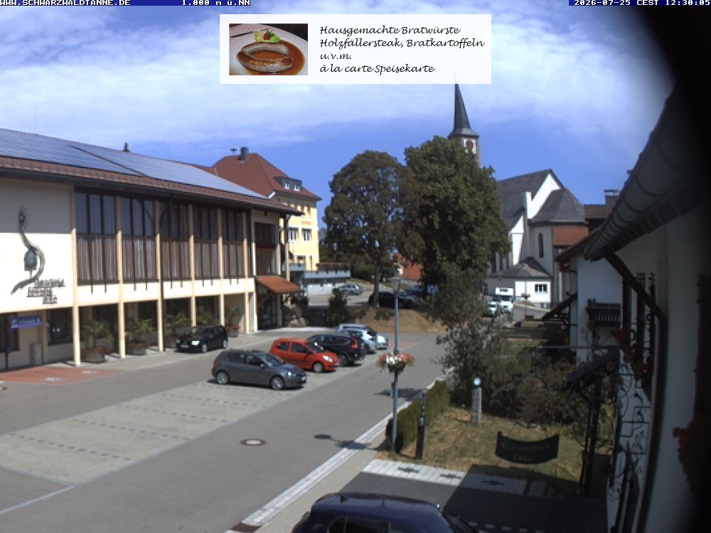 Archived image Webcam View from Guesthouse "Schwarzwaldtanne"