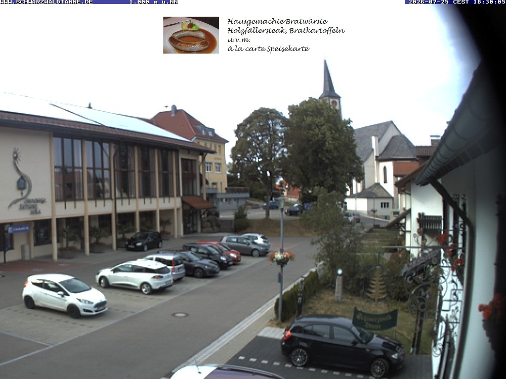 Archived image Webcam View from Guesthouse "Schwarzwaldtanne"