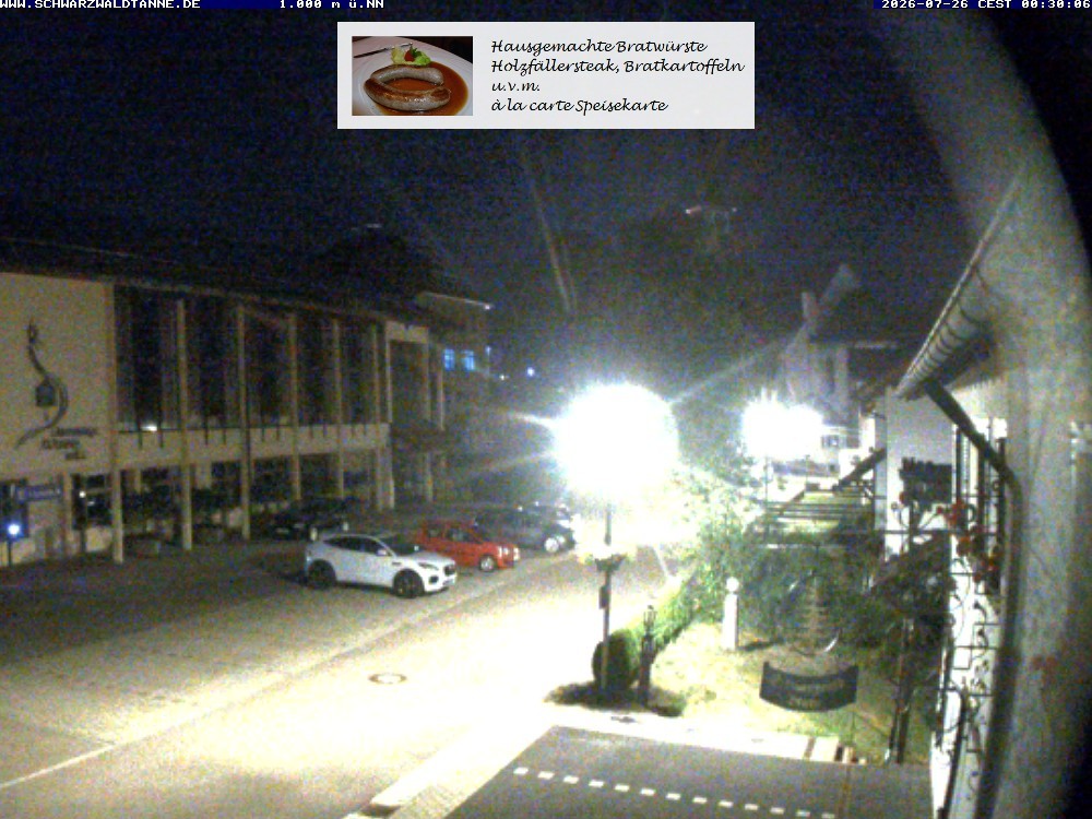 Archiv Foto Webcam Schönwald: Blick vom Gasthof Schwarzwaldtanne