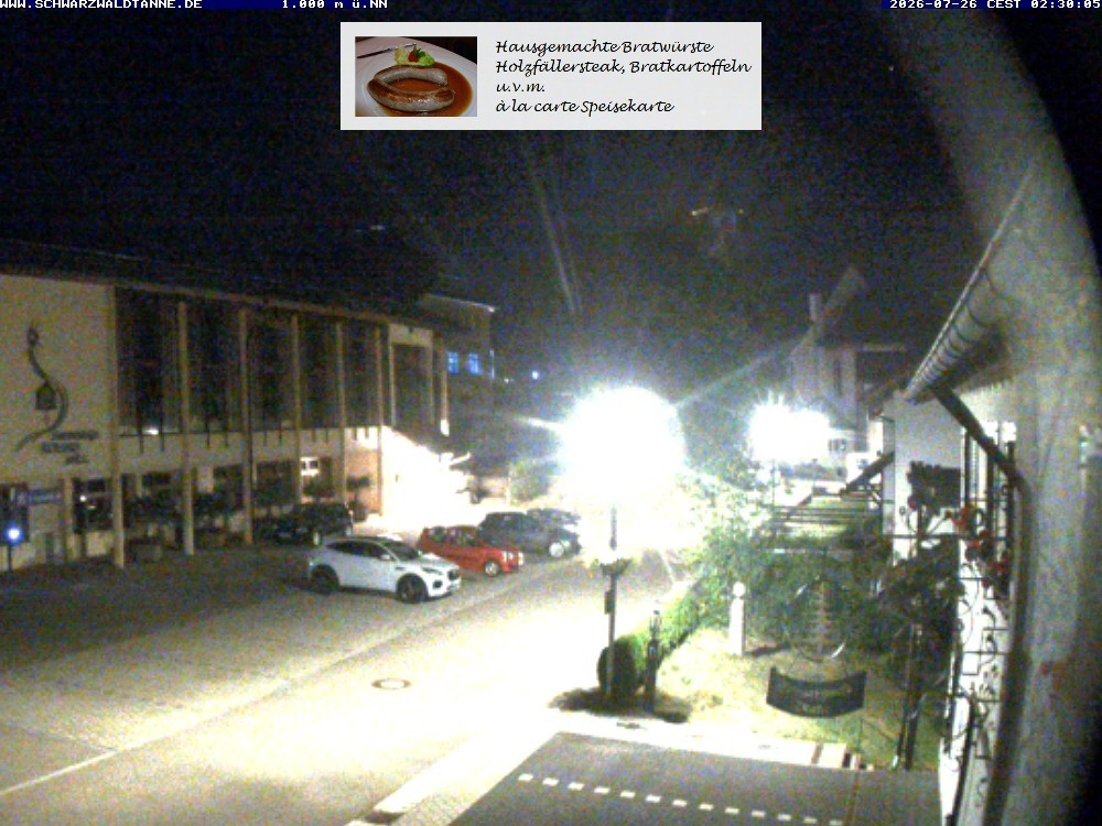 Archiv Foto Webcam Schönwald: Blick vom Gasthof Schwarzwaldtanne