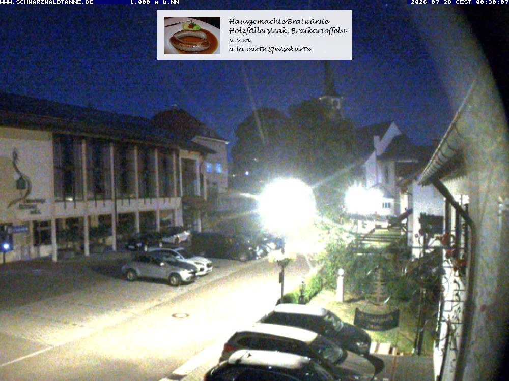 Archived image Webcam View from Guesthouse "Schwarzwaldtanne"