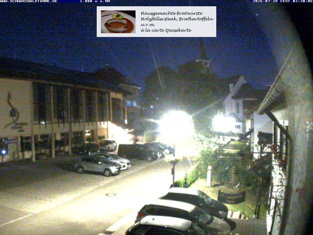 Archived image Webcam View from Guesthouse "Schwarzwaldtanne"