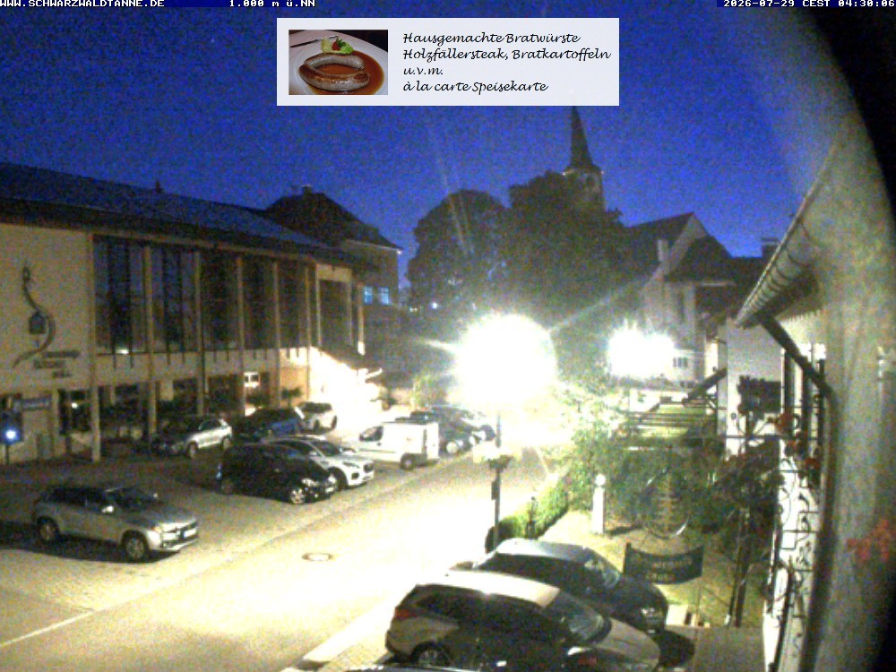 Archiv Foto Webcam Schönwald: Blick vom Gasthof Schwarzwaldtanne