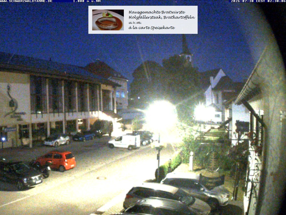 Archiv Foto Webcam Schönwald: Blick vom Gasthof Schwarzwaldtanne