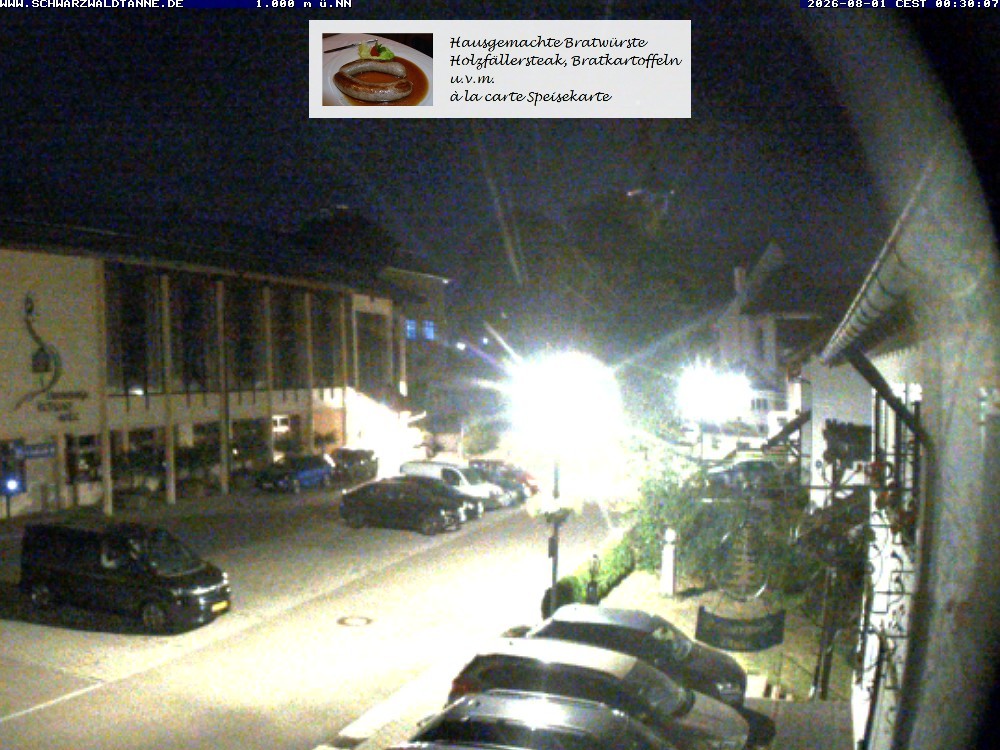 Archived image Webcam View from Guesthouse "Schwarzwaldtanne"
