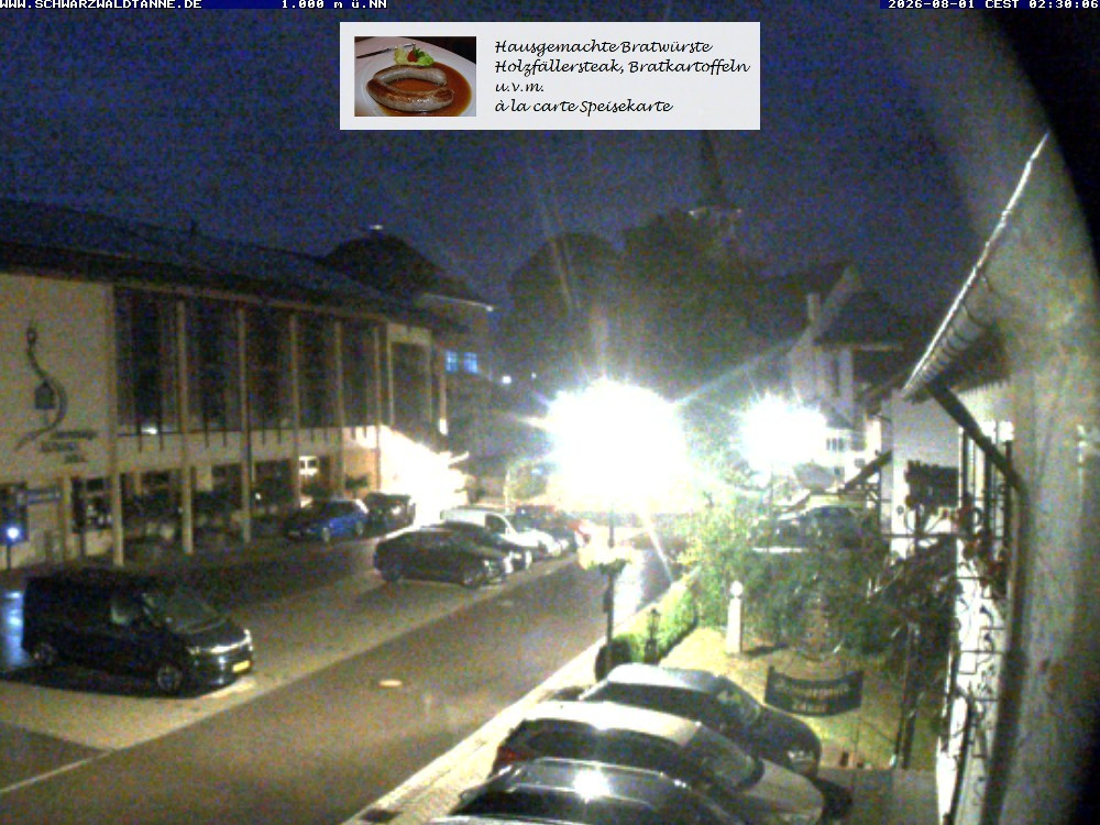 Archived image Webcam View from Guesthouse "Schwarzwaldtanne"