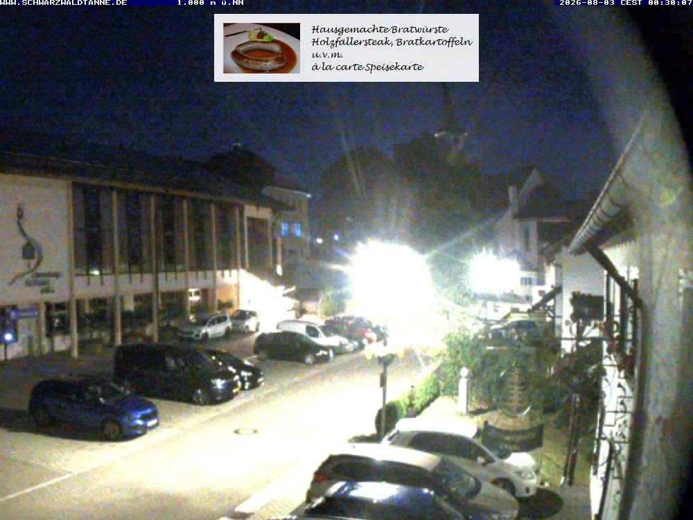 Archived image Webcam View from Guesthouse "Schwarzwaldtanne"