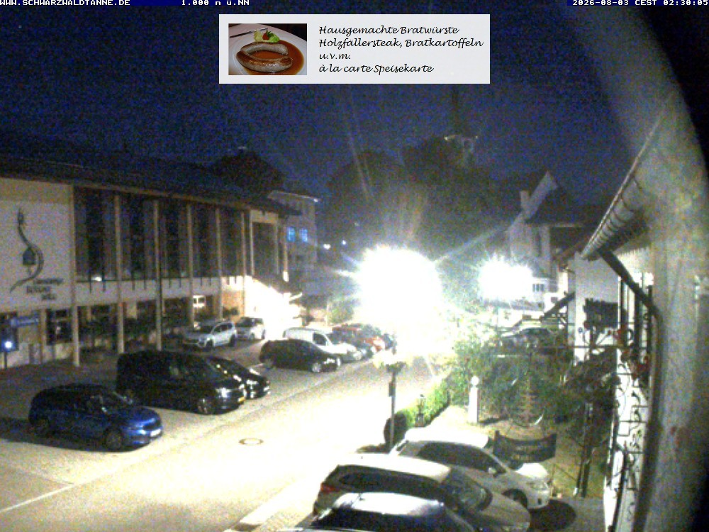 Archived image Webcam View from Guesthouse "Schwarzwaldtanne"