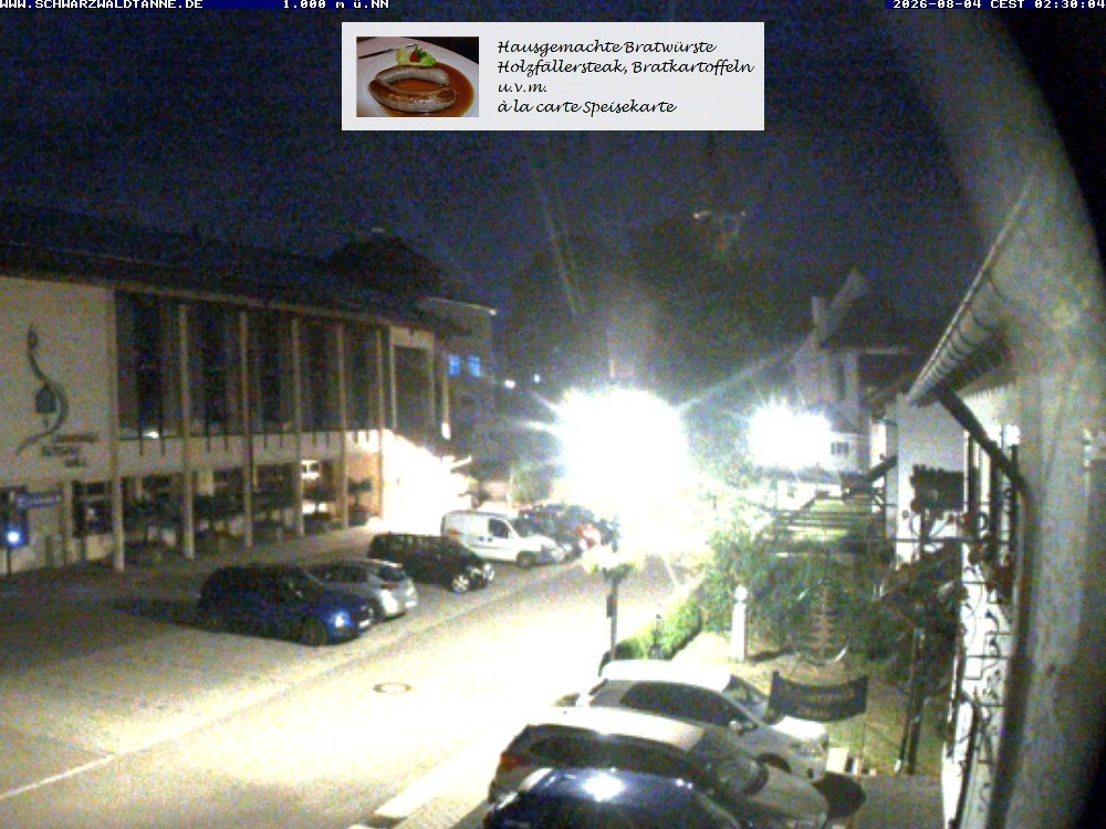 Archiv Foto Webcam Schönwald: Blick vom Gasthof Schwarzwaldtanne