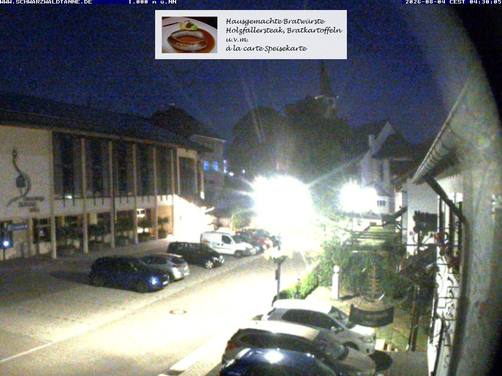 Archiv Foto Webcam Schönwald: Blick vom Gasthof Schwarzwaldtanne