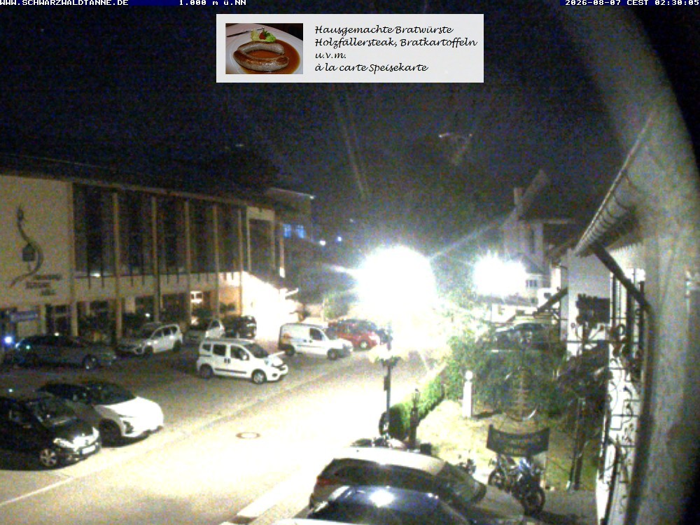Archived image Webcam View from Guesthouse "Schwarzwaldtanne"