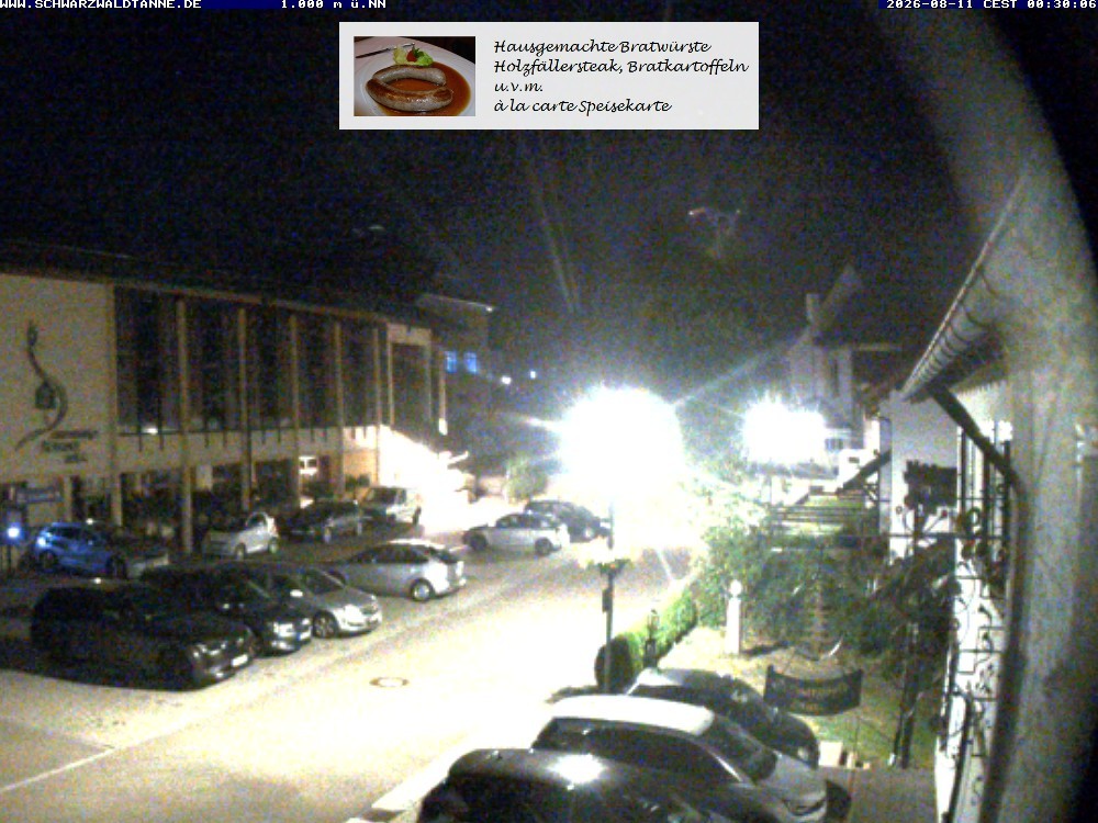 Archived image Webcam View from Guesthouse "Schwarzwaldtanne"