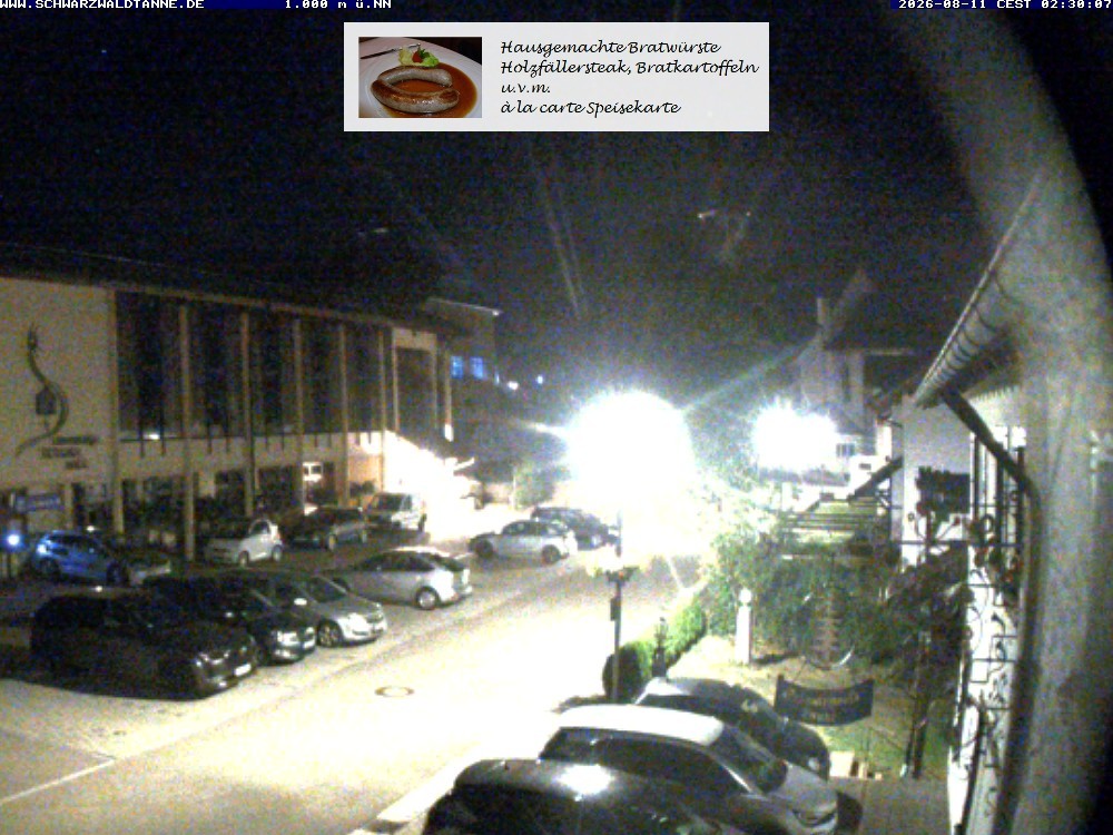Archived image Webcam View from Guesthouse "Schwarzwaldtanne"