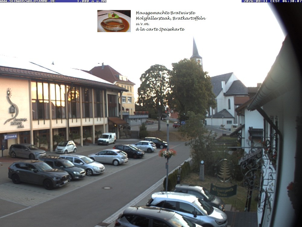 Archived image Webcam View from Guesthouse "Schwarzwaldtanne"