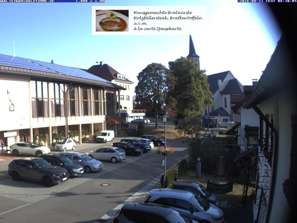 Archived image Webcam View from Guesthouse "Schwarzwaldtanne"