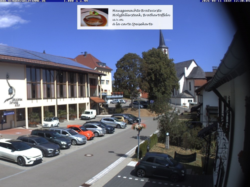 Archived image Webcam View from Guesthouse "Schwarzwaldtanne"