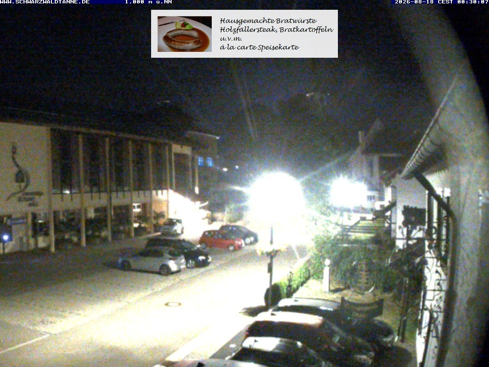Archiv Foto Webcam Schönwald: Blick vom Gasthof Schwarzwaldtanne