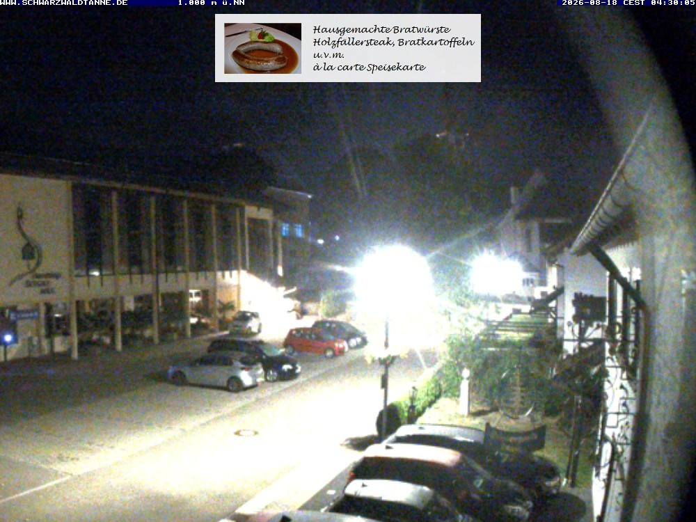 Archiv Foto Webcam Schönwald: Blick vom Gasthof Schwarzwaldtanne