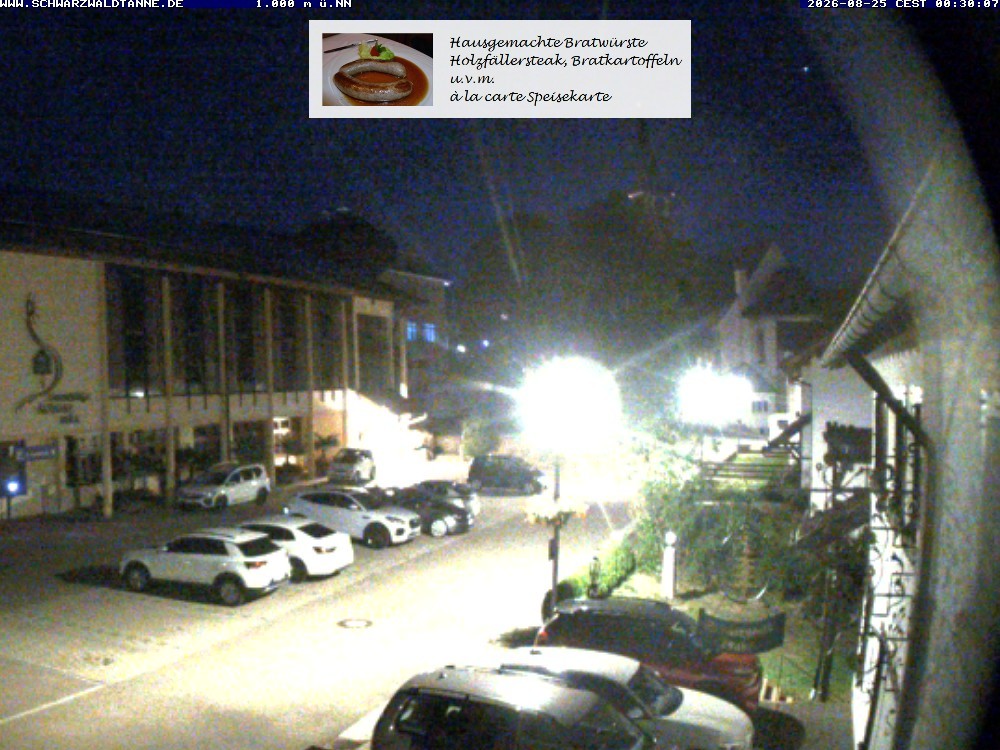 Archiv Foto Webcam Schönwald: Blick vom Gasthof Schwarzwaldtanne