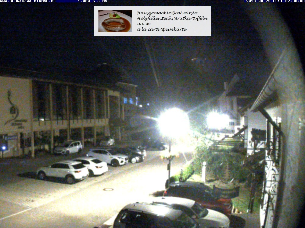 Archiv Foto Webcam Schönwald: Blick vom Gasthof Schwarzwaldtanne