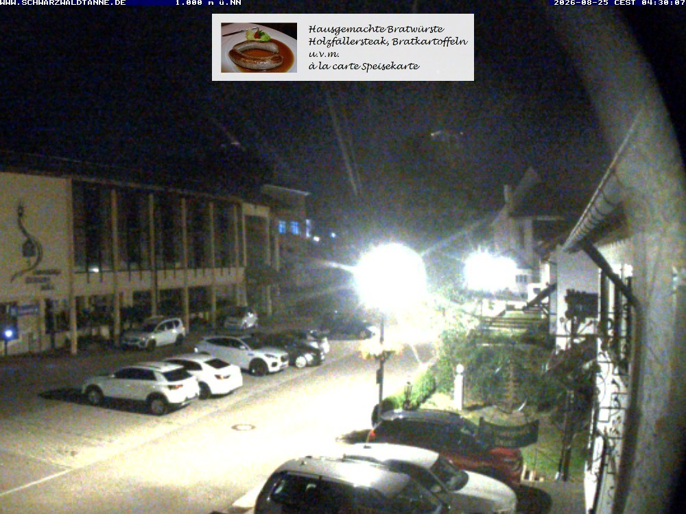 Archiv Foto Webcam Schönwald: Blick vom Gasthof Schwarzwaldtanne