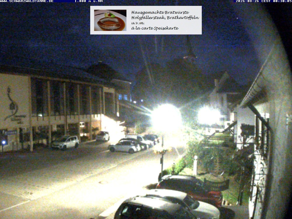 Archiv Foto Webcam Schönwald: Blick vom Gasthof Schwarzwaldtanne