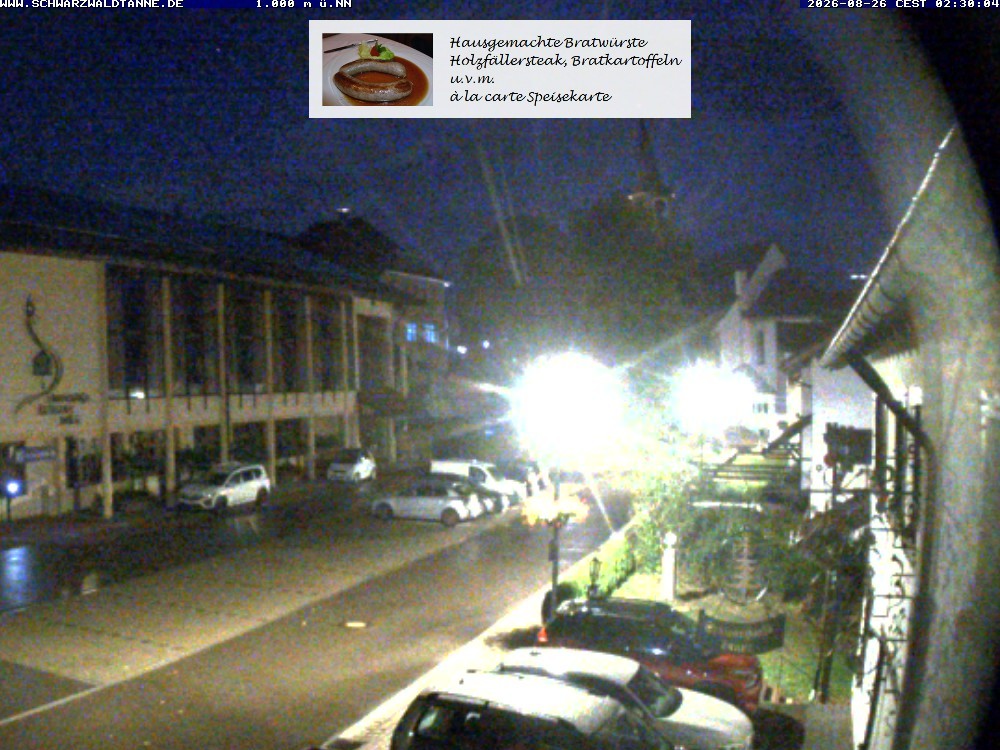 Archiv Foto Webcam Schönwald: Blick vom Gasthof Schwarzwaldtanne