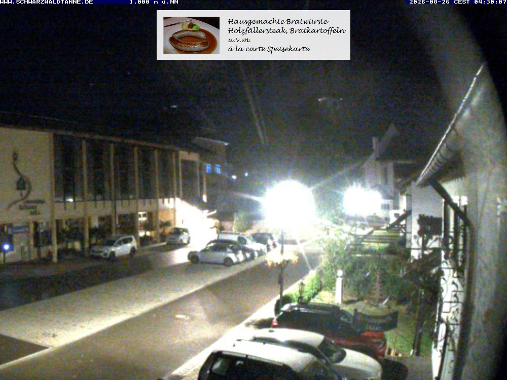 Archiv Foto Webcam Schönwald: Blick vom Gasthof Schwarzwaldtanne