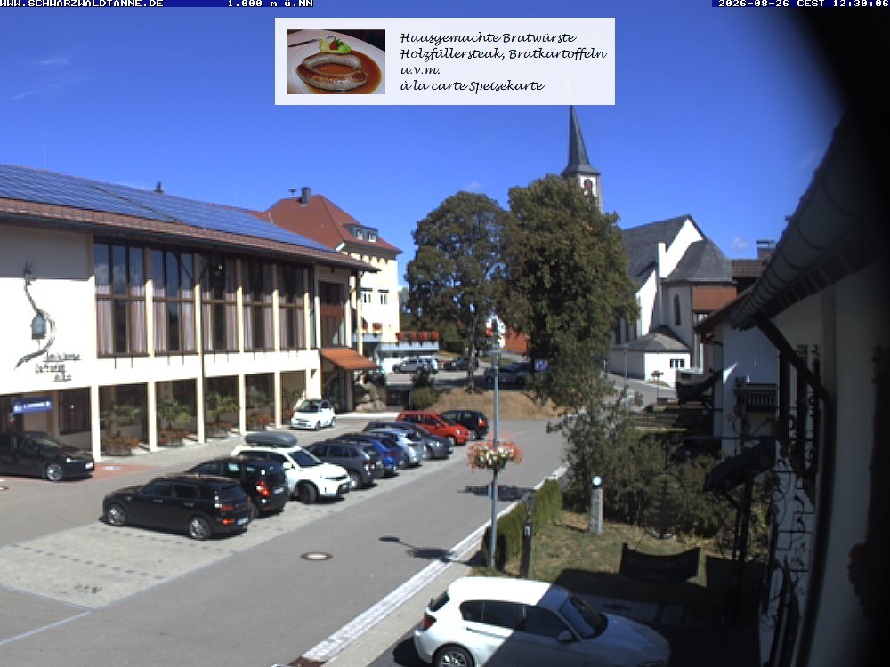 Archiv Foto Webcam Schönwald: Blick vom Gasthof Schwarzwaldtanne