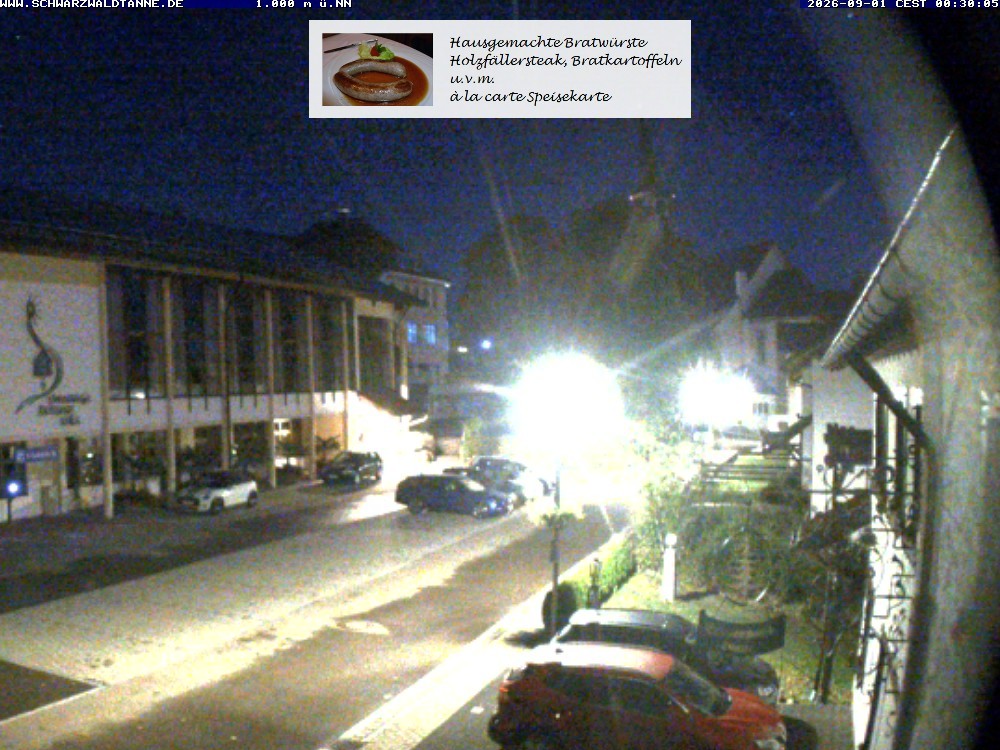 Archiv Foto Webcam Schönwald: Blick vom Gasthof Schwarzwaldtanne