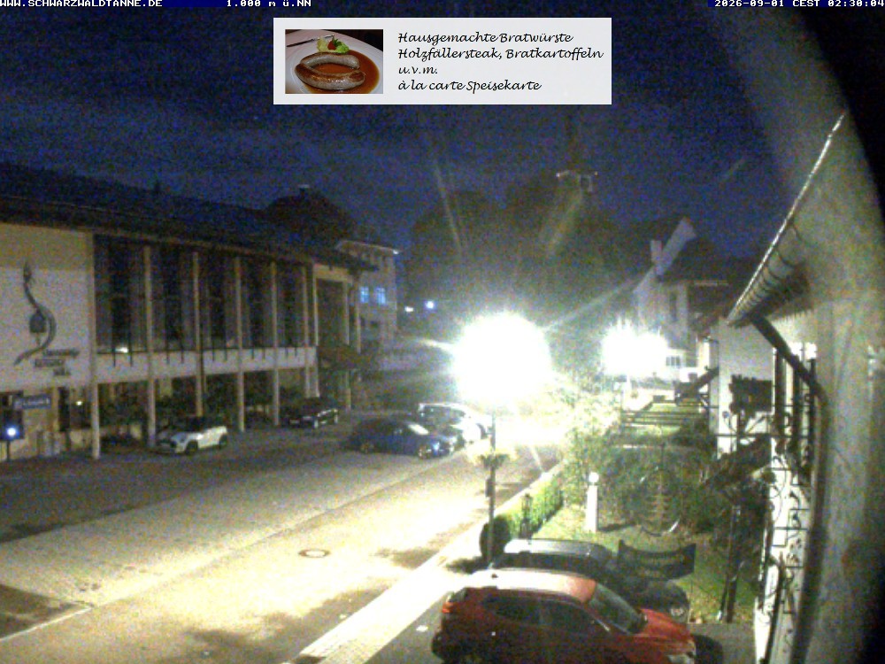 Archiv Foto Webcam Schönwald: Blick vom Gasthof Schwarzwaldtanne