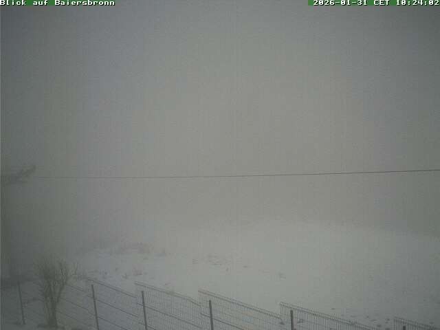 Archived image Webcam Baiersbronn