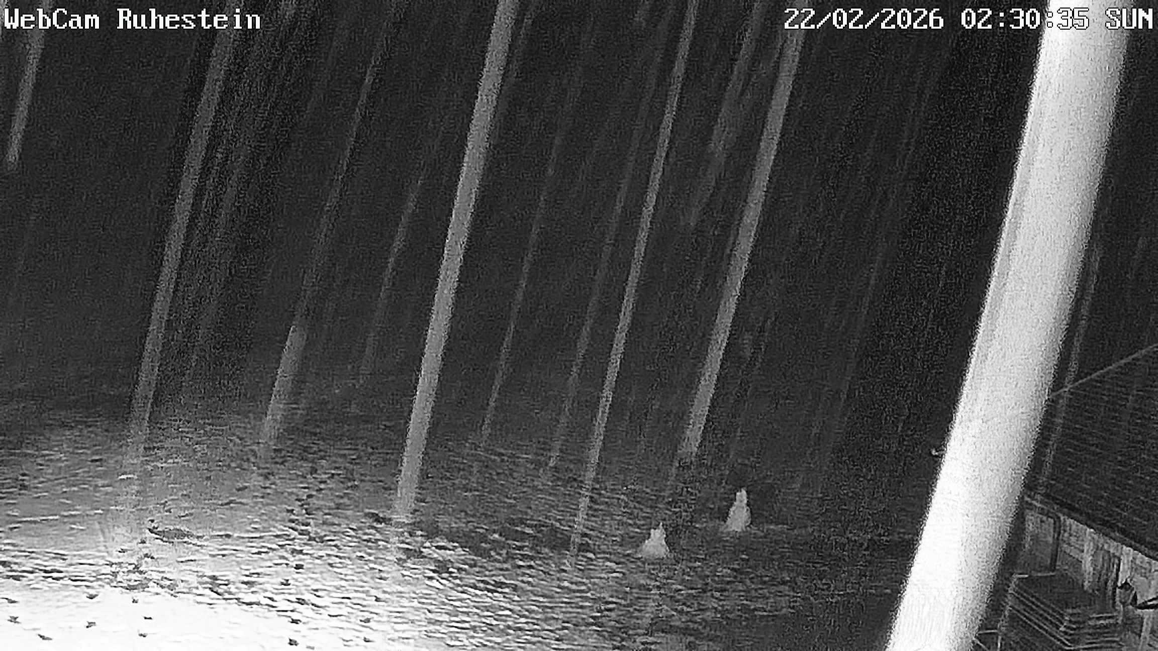 Archiv Foto Webcam Baiersbronn: Skilift Ruhestein