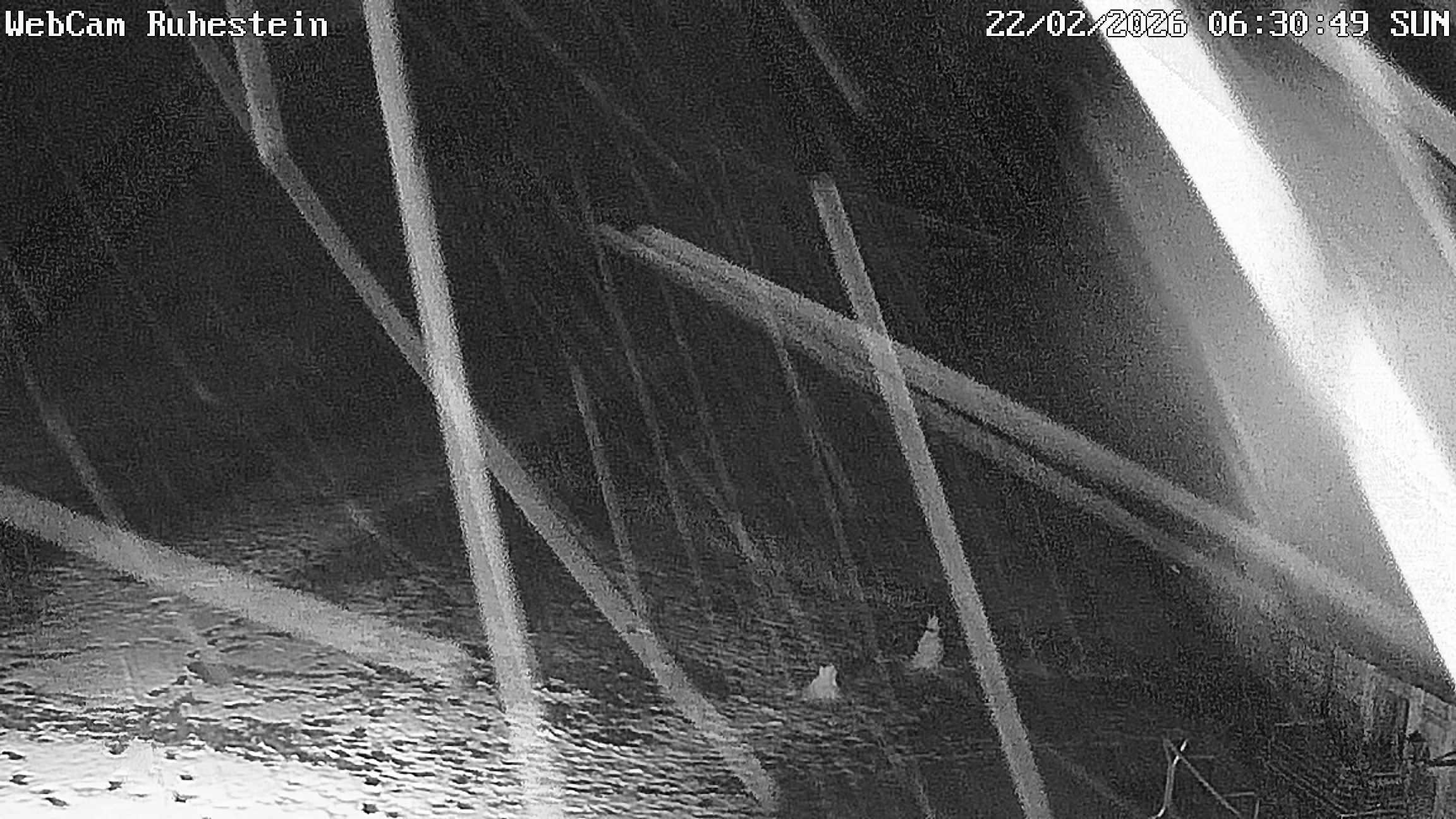 Archiv Foto Webcam Baiersbronn: Skilift Ruhestein