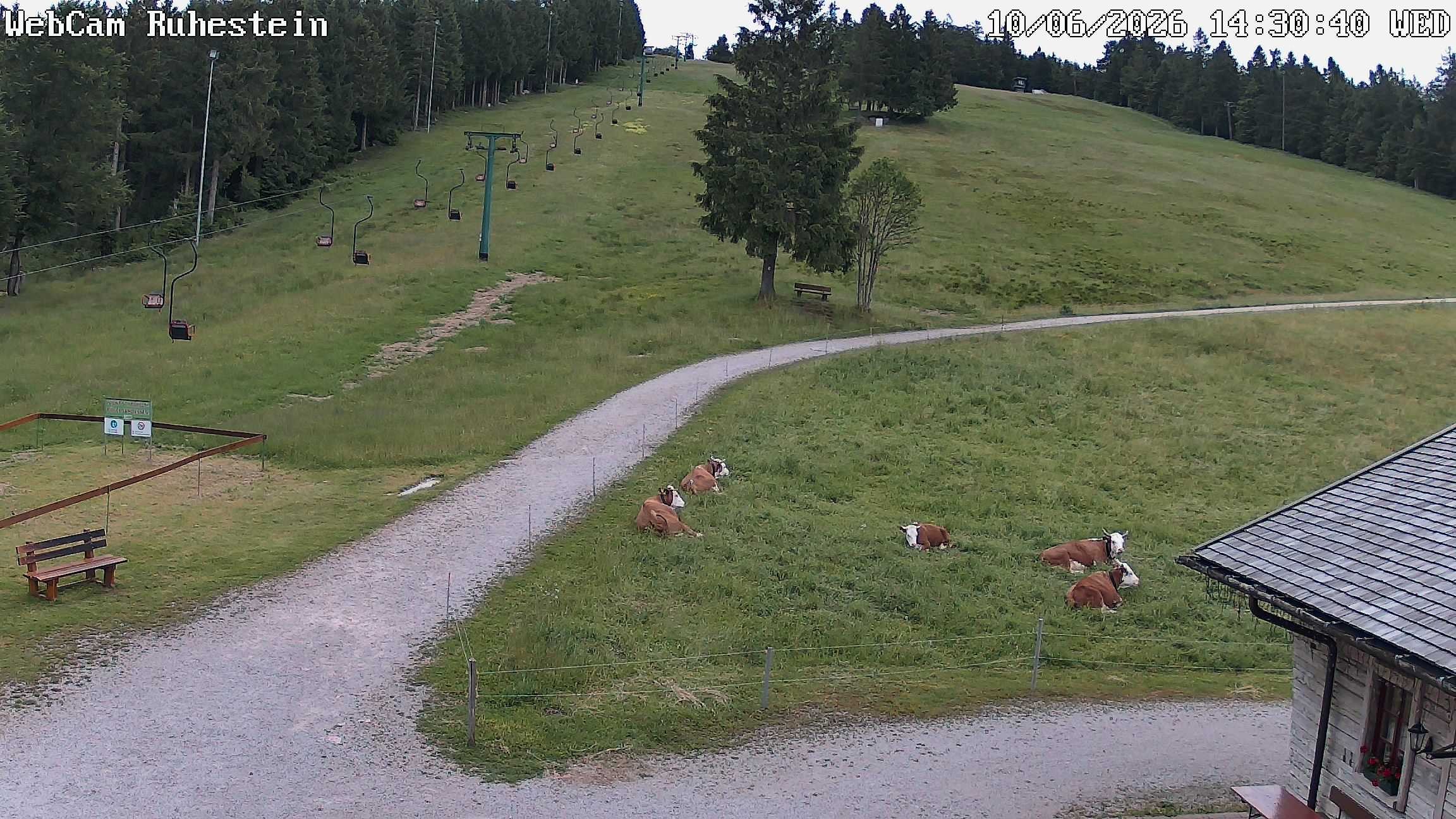 Archiv Foto Webcam Baiersbronn: Skilift Ruhestein